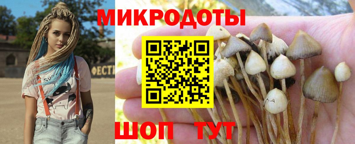 Галлюциногенные грибы Magic Shrooms Великий Устюг