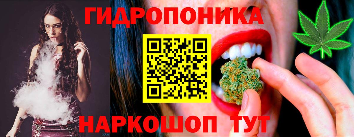 Бошки Шишки Ganja Великий Устюг